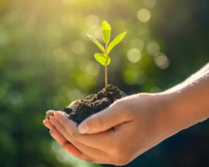 Happiness Planting
